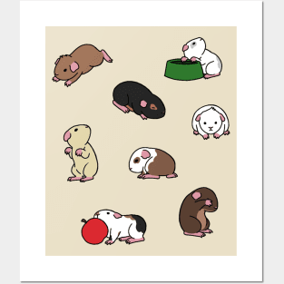 Guinea Pigs Posters and Art